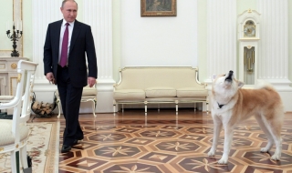 Кучето на Путин не хареса японски журналисти