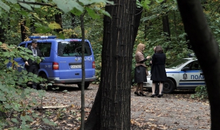 Дърво падна в Борисовата, уби мъж (Снимки 18+)