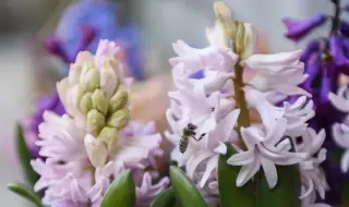 Времето днес, прогноза за сряда, 8 април: Слънчево, нахлува студен въздух от северозапад - 1