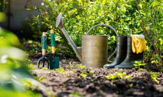 Хайде да оплевим градината голи!  (СНИМКИ)