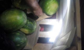 Хванаха поляк, скрил 5 мигранти в камион с дини