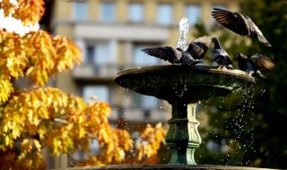 Увеличение на облачността след обяд