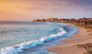 ООН с исторически успех: Приет е първият договор за защита на екосистемите в открито море