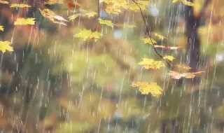 Времето днес, прогноза за събота, 8 ноември: Затопля се. Облаците остават, следобед ще вали 