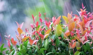 Времето днес, прогноза за неделя, 5 април: Предимно слънчево, с купеста облачност около и след обяд