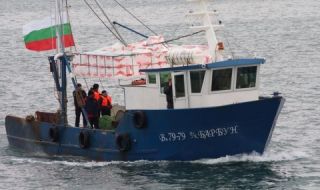 Рибари алармират: Изчезна най-народната риба по нашето Черноморие