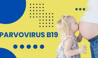 Parvovirus killed a child in Greece 