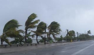 Тропическата буря Лаура се засили до ураган