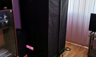 Разбиха наркооранжерия в бургаски апартамент