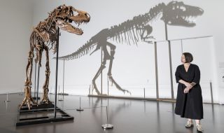 Продадоха скелет на динозавър за 6,1 милиона (СНИМКИ)