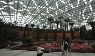 Супердървета и хай тек цветя събират погледи в Сингапур