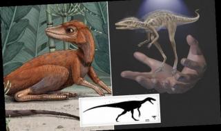 Откриха прародител на динозаврите