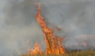 Пожар затвори временно пътя между селата Левски и Попинци