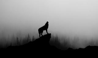 В Русия откриха нещо уникално на 40 000 години