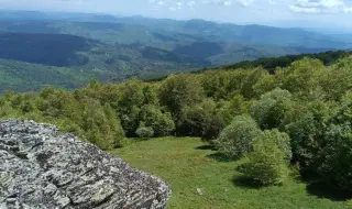 Времето днес, прогноза за понеделник, 3 юни: Слънчево преди обяд