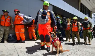 Venezuela Tragedy: Time is running out to find survivors 