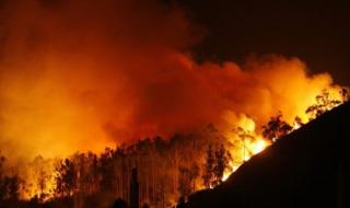 Десет вили изгоряха край Карлово