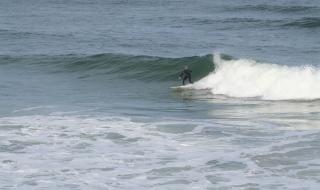 Ужасяващ момент: Сърфист пада върху акула (ВИДЕО)
