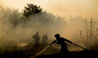Пожар изпепели 30 декара гори в Кърджалийско