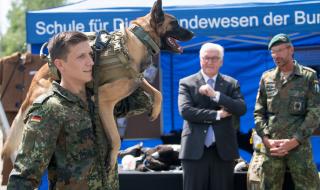 Обучават армейски кучета да надушват коронавирус