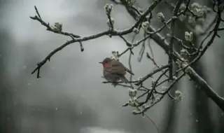 Времето днес, прогноза за неделя, 28 декември: Код оранжево за силен и бурен вятър в Западна България