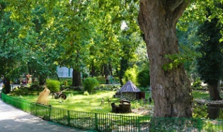 Пиян искал да се бие с лъва от варненския зоопарк