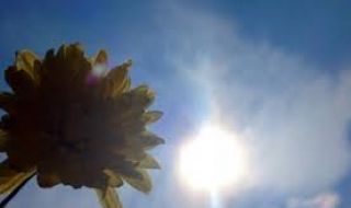 Слънчева събота