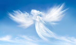 7 от 10 американци вярват в ангели