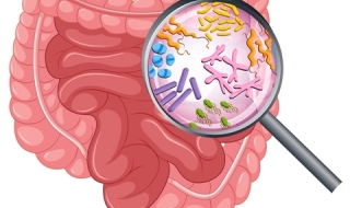 Микробите ни са по-важни от гените ни