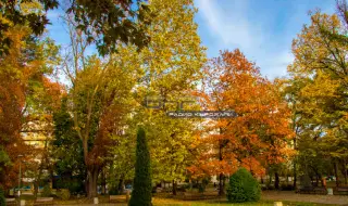 Времето днес, прогноза за сряда, 29 октомври: Слънчево. Ще духа югозападен вятър