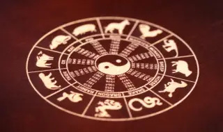 Топ 4 на най-привлекателните зодии според китайския хороскоп
