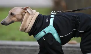 Георги Рачев: Ледени дни сковават България за Нова година, температурите падат до -25 градуса