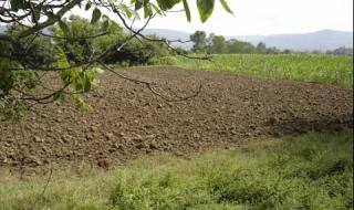 Имотна измама на общинска служителка