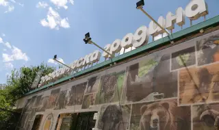 Затварят една от залите в Софийския зоопарк 