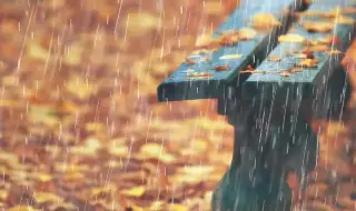 Времето днес, прогноза за четвъртък, 20 ноември: Остава облачно с валежи от дъжд