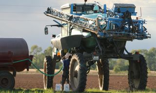 11 юни – последен ден, в който фермерите могат да подадат заявления за директни плащания