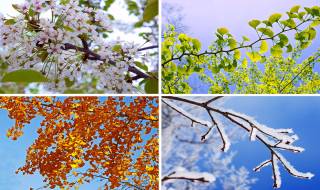 Притча: Не съдете прибързано