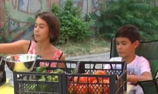 Деца за пример! Отглеждат и продават зеленчуци сами