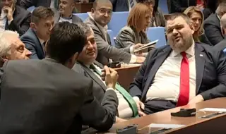 Kiril Petkov and Delyan Peevski grabbed each other's throats in the parliament 