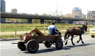 310 каруци се търкалят в столицата