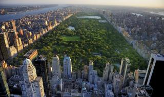 Ню Йорк може да използва парковете си за гробища