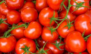 Как да запазим доматите свежи