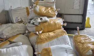 Задържаха близо 30 000 ментета на МП "Капитан Андреево"