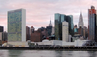 Дървеници налазиха ООН