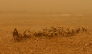 Смъртоносна пясъчна буря в Близкия изток