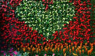 Притча: Как се грижиш за себе си?