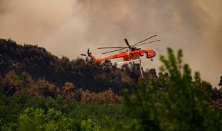Регистрирани са 50 горски пожара в Гърция за 24 часа 