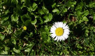 Слънчево начало на седмицата