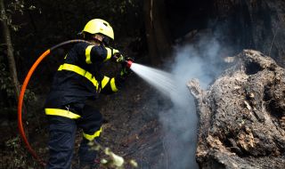Голям пожар в национален парк