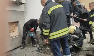 Строители зазидаха живо коте в стена в Бургас, полиция и пожарна спасиха животното след 9 дни
